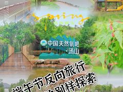 -汤山紫清湖旅游区