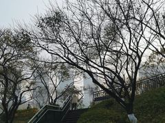 -重庆彩云湖湿地公园