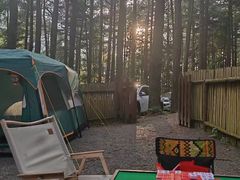 -重庆睡佛山森林公园