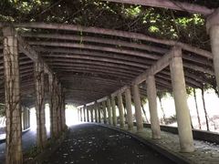 -重庆医科大学附属第一医院(金山院区)