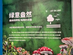 -【朵云轩艺术中心】博洛尼亚插画展·中国巡展·上海站