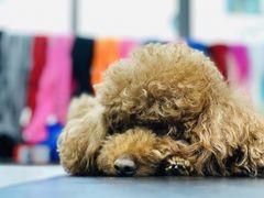 -FIGHTMAN格斗俱乐部(长宁临空店)