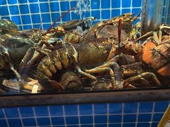 -庆赫隆融合菜馆(群力店)
