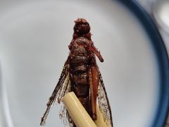 -金台阶鱼馆(于桥水库店)