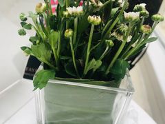 -PAUL LAFAYET 法式甜品(港汇广场店)