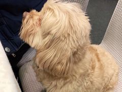 -高坎一品甲鱼庄(两河店)