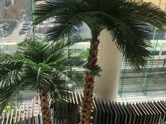 -石家庄万象天成假日酒店