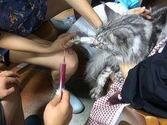 -北京佳信宠物医院