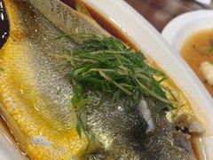 -长平肥姐白粥·海鲜打冷