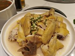 -中华茉莉园