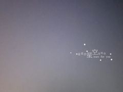 -合肥滨湖国家森林公园