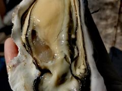 牡蛎-海鮮寿司とれとれ市場