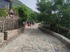 -大岭沟猕猴桃谷风景区