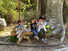 -大平台龙居瀑布旅游区