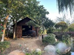 -茅山东方盐湖城景区