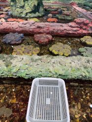 -钓虾工场·钓虾·赶海(回龙观店)