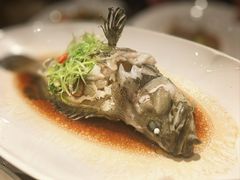 -滋粥楼·顺德菜(番禺广场总店)