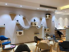 -Pets First伊珊娜洗护·精致美容·家庭式寄养(新会路店)