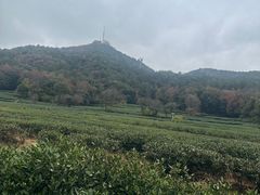 -灵顺寺