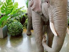 -LYFATTI 莱芙缇(赣水路店)