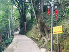 -灵光寺