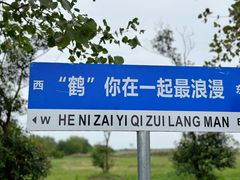 -盐城丹顶鹤湿地生态旅游区