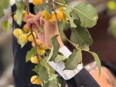 -京兆尹(雍和宫店)