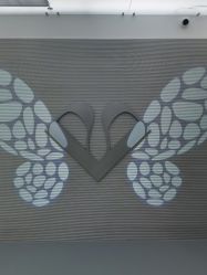 -纯粹医美