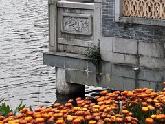-荔湾湖公园
