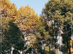 -重庆市江北嘴中央商务区中央公园