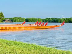 -上海海湾国家森林公园