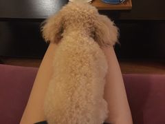 -树洞咖啡(科大店)