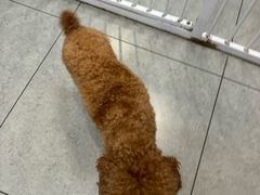 -全心全意连锁动物医院·特色中医诊疗(会城门分院)