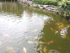 -珠海圆明新园