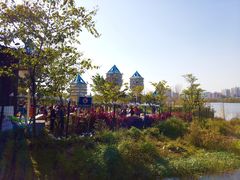 -飞来湖湿地公园