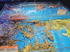 -徐记海鲜(大雁塔|金都店)