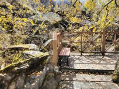 -叠溪松坪沟景区