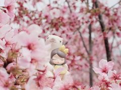 -古柏渡丰乐樱花园