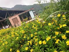 -远山有窑