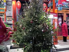 -胡大饭馆 24h(簋街总店)