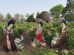 -曹州牡丹园