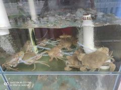 -凯华海鲜火锅·传承三十六年