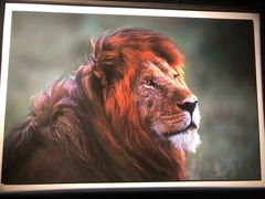 -罗红摄影艺术馆