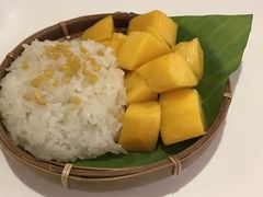 -GOGO Plate(成都太古里店)