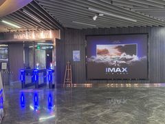 -卢米埃影城(合生广场IMAX店)