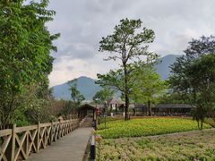 -广州市流溪河国家森林公园