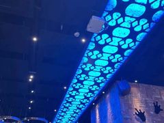 -bluefrog蓝蛙(皇庭广场店)
