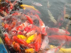 -云漫湖生态度假公园