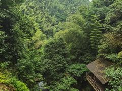 -莫干山风景区