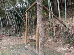 -塔川景区